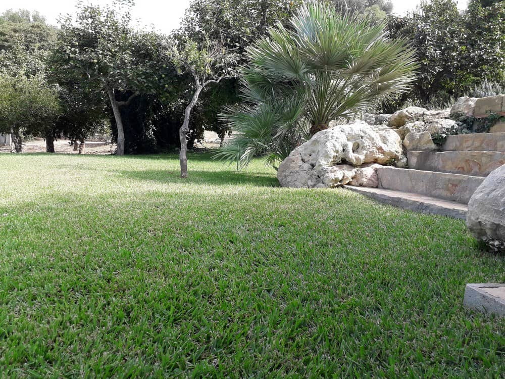 Top Garden a Valderice (Trapani)
