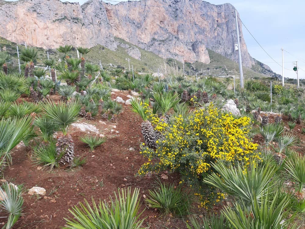 Top Garden a Valderice (Trapani)